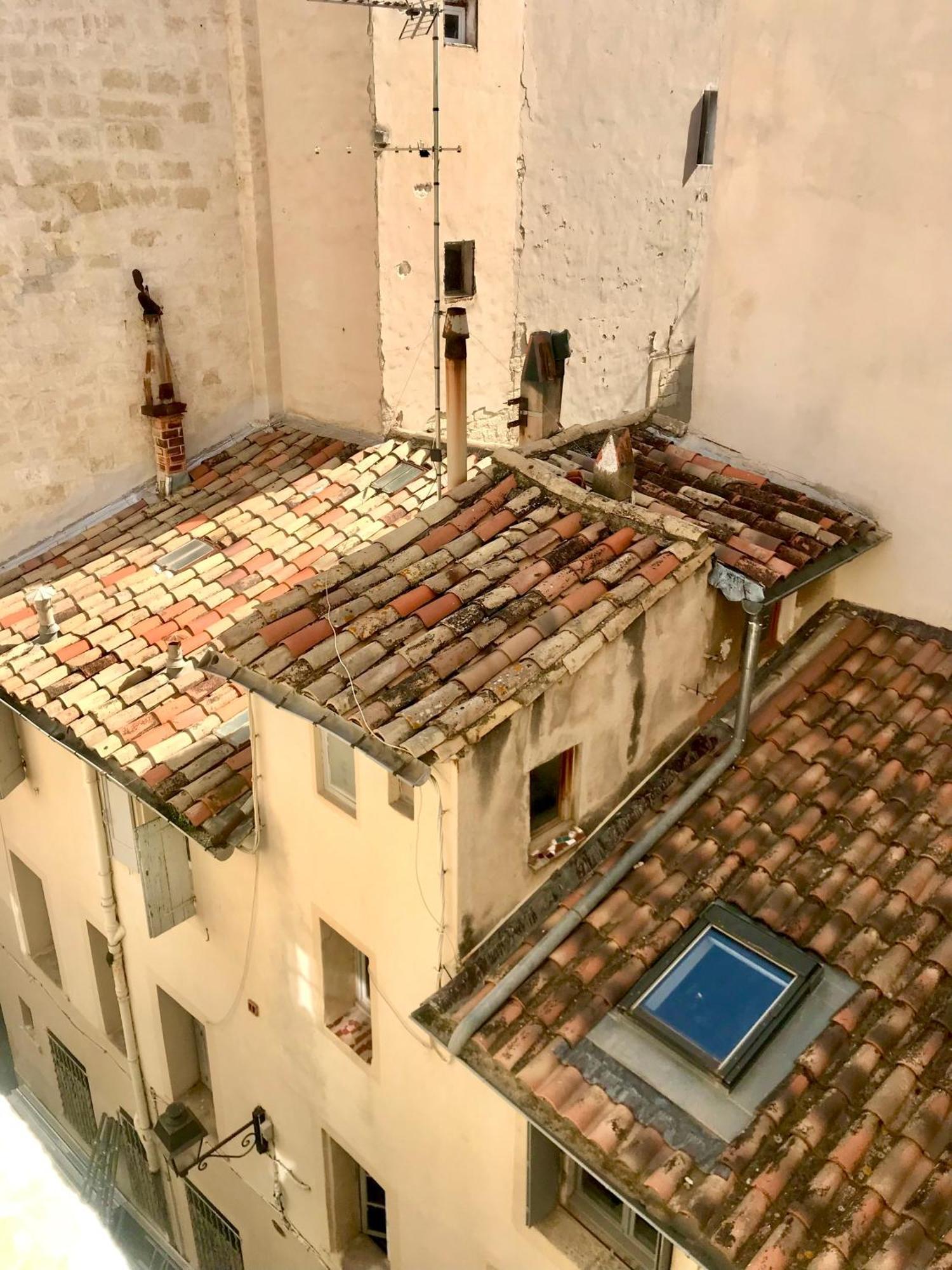 Appartement Cosy Et Calme - Centre Historique 蒙彼利埃 外观 照片