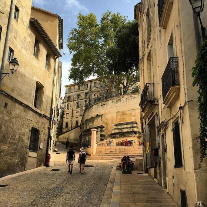 Appartement Cosy Et Calme - Centre Historique 蒙彼利埃 外观 照片